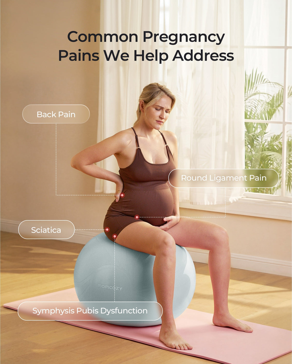 BirthEase Pregnancy Ball Set — Birthing Ball