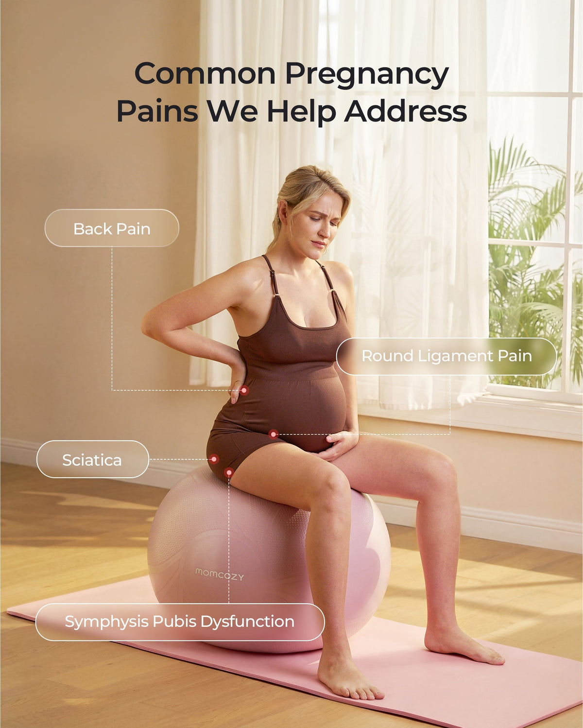 BirthEase Pregnancy Ball Set — Birthing Ball