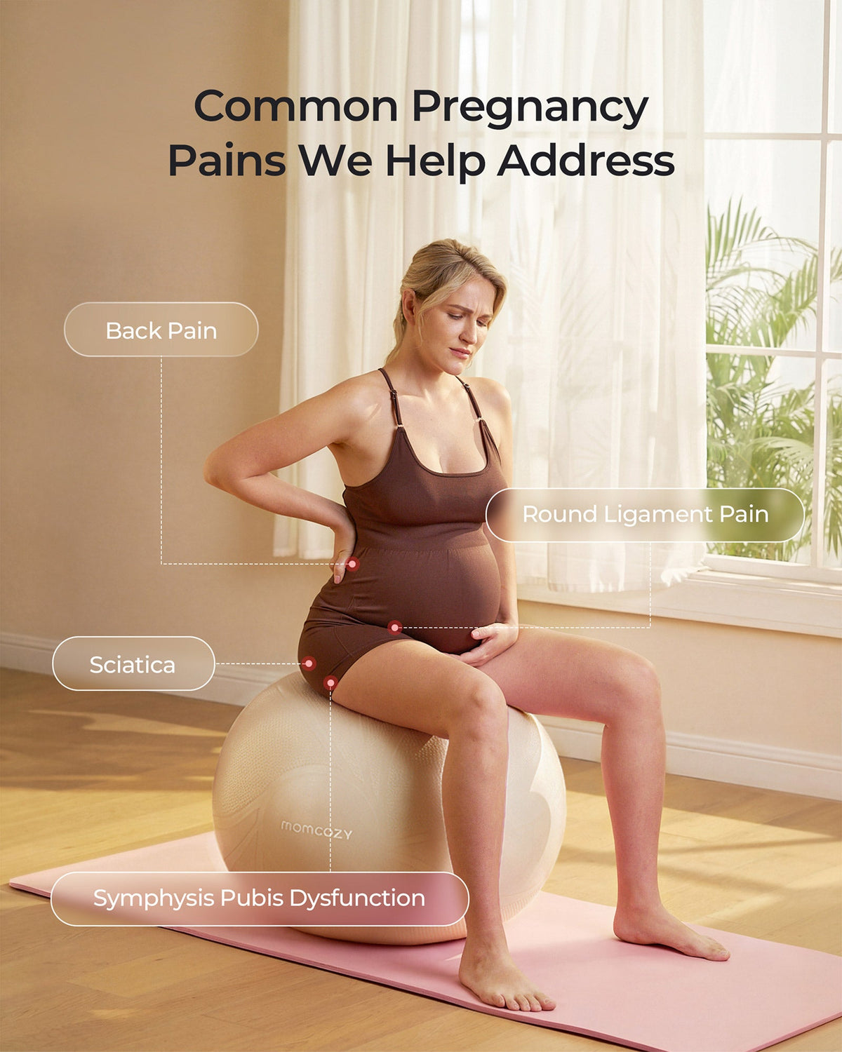 BirthEase Pregnancy Ball Set — Birthing Ball