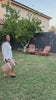 Firework Video ugc_video_obllzw