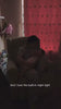 Firework Video product-recommendation-video-wojhzjau