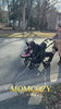 Firework Video ugc_video_vjgkan